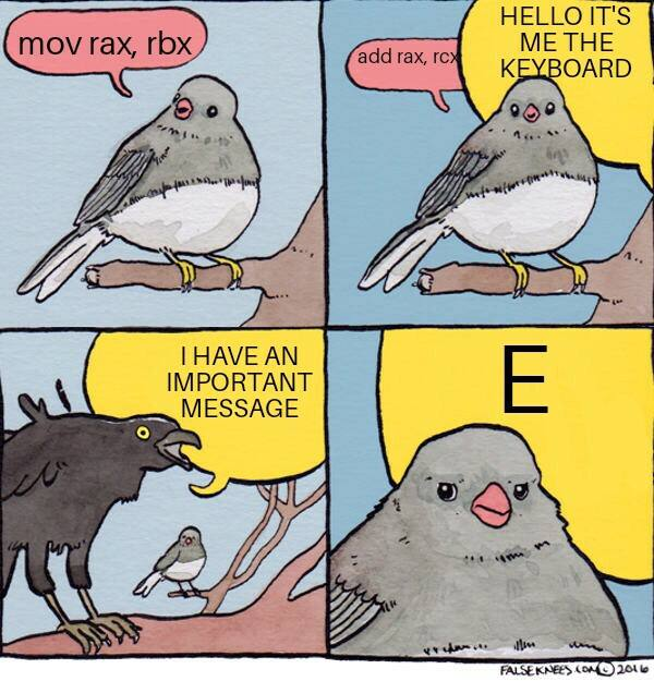 Assembly talimatlarını konuşma balonlarıyla gösteren dört panelli bir meme çizimi. Dışarıdan gelen başka bir ses normal akışı bozuyor ve son panelde küçük kuş hiç memnun görünmüyor.