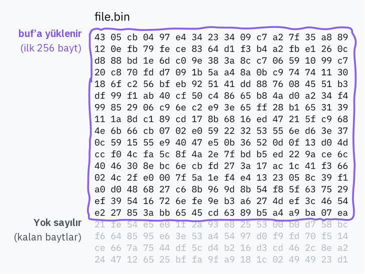 Bir dosyanın ilk 256 baytının binfmt tamponuna yüklendiğini, geri kalan shebang verisinin ise yok sayıldığını gösteren diyagram.